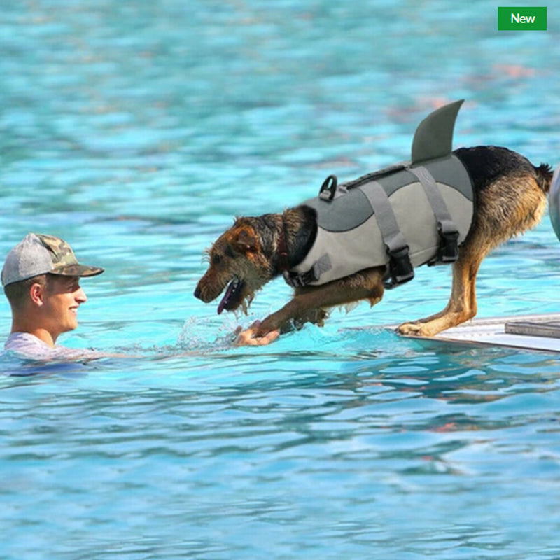 Hunde svømme sikker jakke