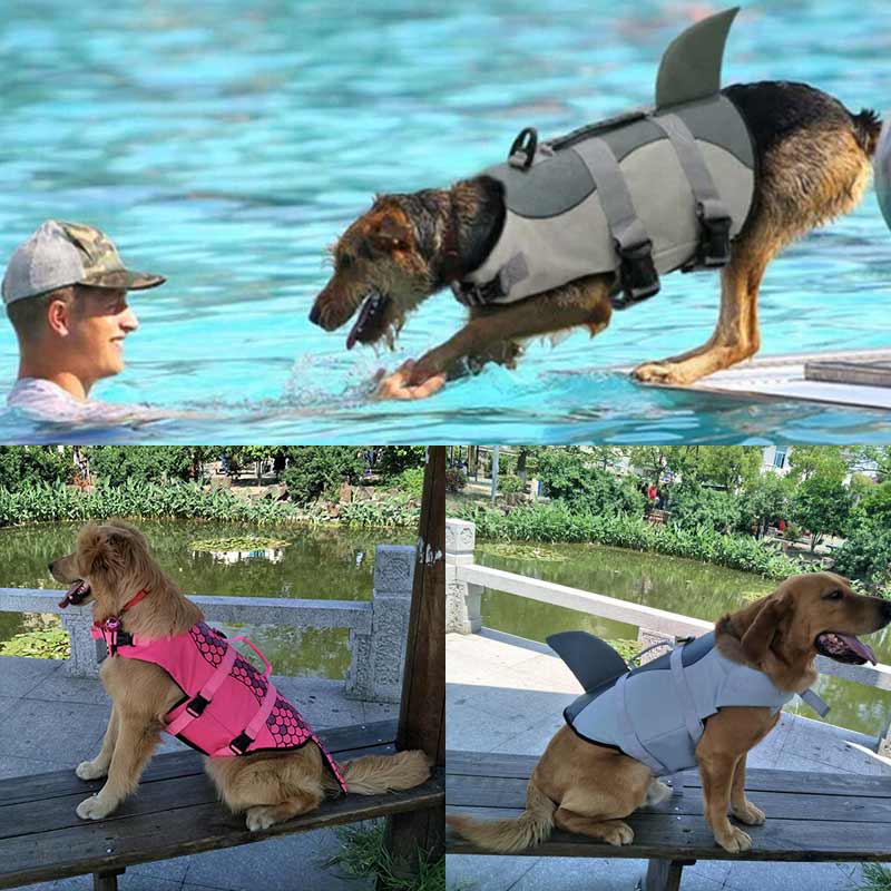 Hunde svømme sikker jakke